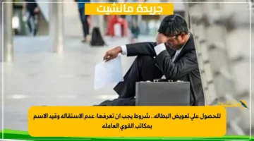 للحصول على تعويض البطالة.. شروط يجب أن تعرفها عدم الاستقالة وقيد الاسم بمكاتب القوى العاملة 1